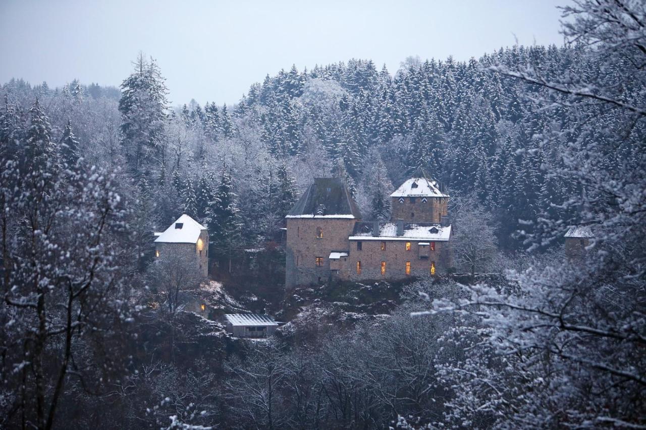 Le Bonheur De La Cascade 24 Pers - Malmedy, Wellness, Jardin, Confort מראה חיצוני תמונה